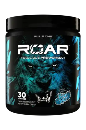 Roar PWO
